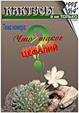Журнал КАКТУСЫ и не ТОЛЬКО №4'/1998