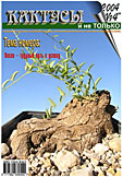 Журнал КАКТУСЫ и не ТОЛЬКО №4''/2004