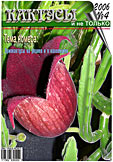 Журнал КАКТУСЫ и не ТОЛЬКО №4/2006