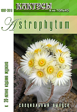Astrophytum