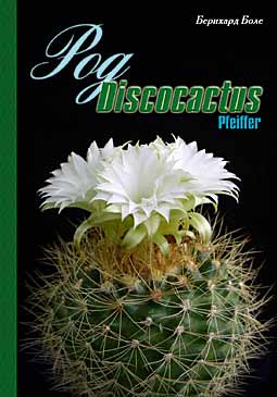  Discocactus Pfeiffer